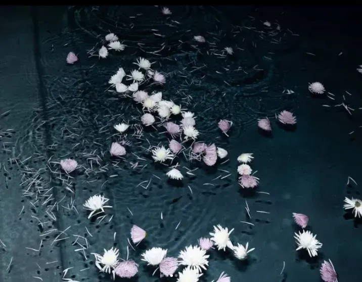 Аня Тейлор-Джой показала, как отметила 30-летие рождения, ТейлорДжойДень, ТейлорДжой, актриса, Малкольма, королевы, Макрея, Венеции, Гарнер, Джулия, Делевинь, числе, гостей, около, собралось, Актриса, свадьбу, Теллер, роскошную, группы