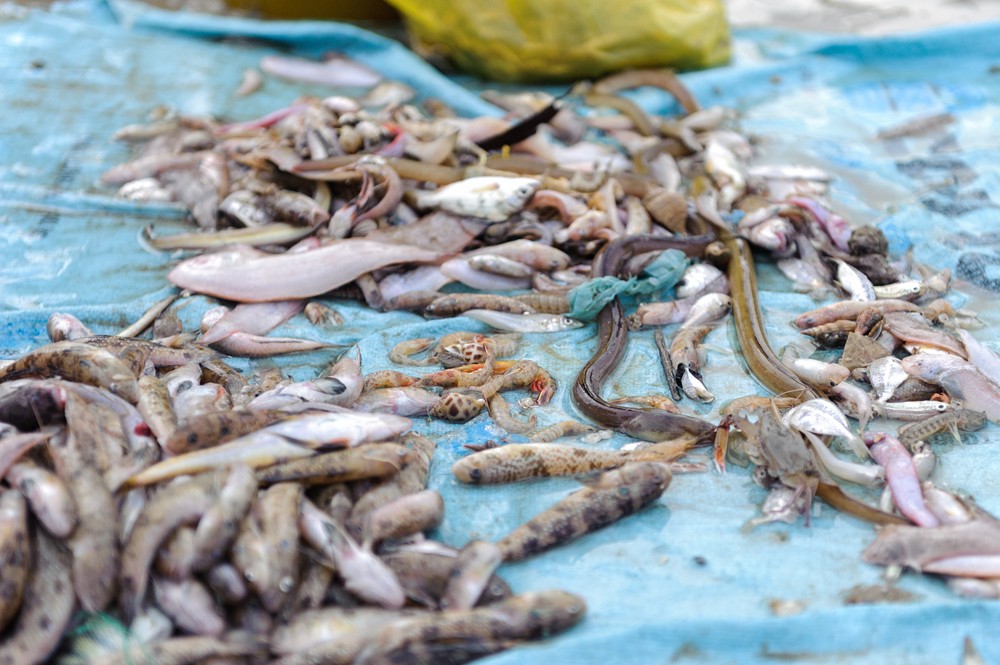 LangchaiMuiNe28 Рыбный рынок в Муй Не