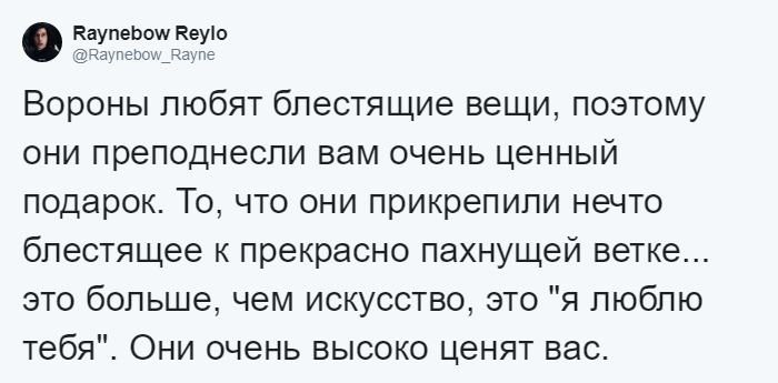 Мужчина четыре года кормил воронью семью, и те принесли ему таинственный дар 