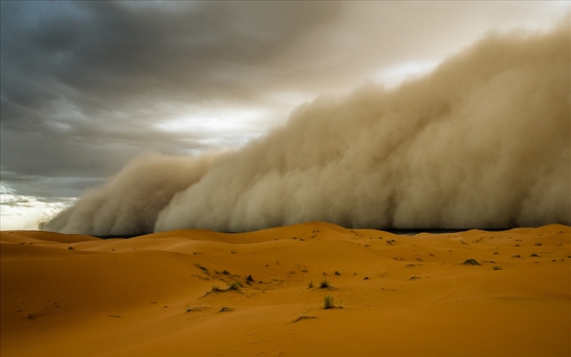 Стена из песка воздухе: как рождается хабуб ветер,песок,песчаная буря,песчаный дьявол,Пространство,самум,хабуб