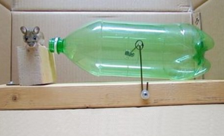 Мышеловка из пластиковой бутылки