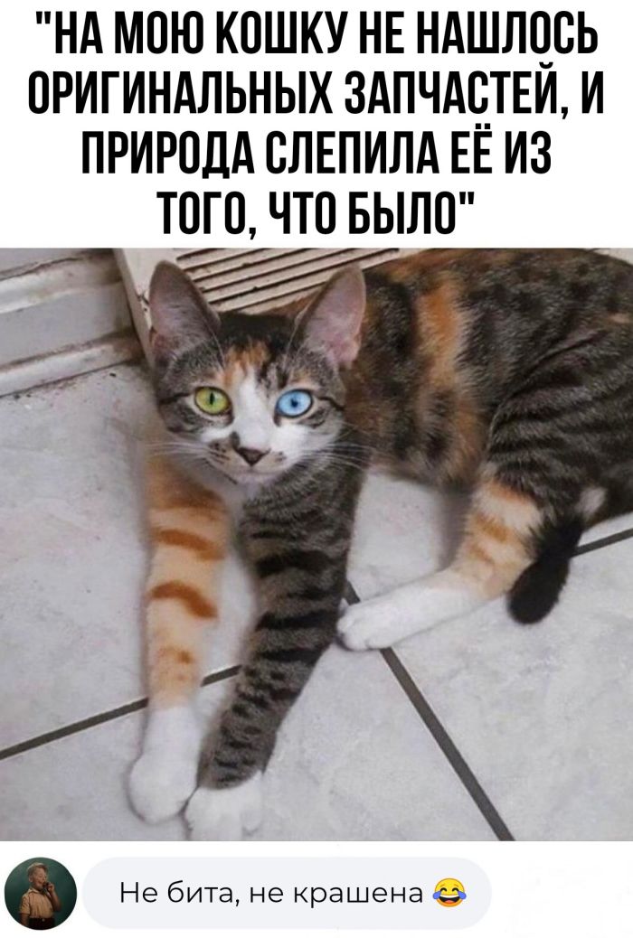 Юморные картинки! Юморные картинки!