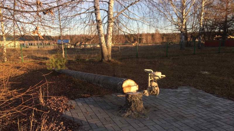 Памятник абсурду: кому выгодна установка «металлических карикатур» на российских улицах Общество