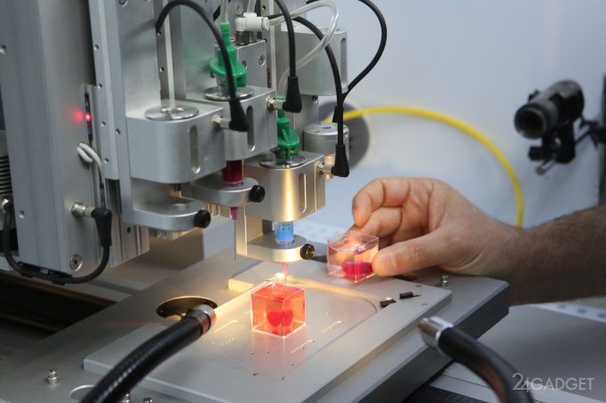 Напечатано первое в мире 3D-сердце из клеток человека 3d-печать,3d-сердце,гаджеты,медицина,мир,техника,технологии