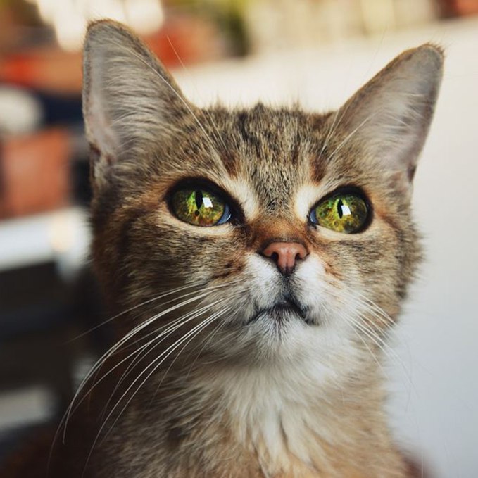 Классные, красивые и шикарные фотографии для настроения 