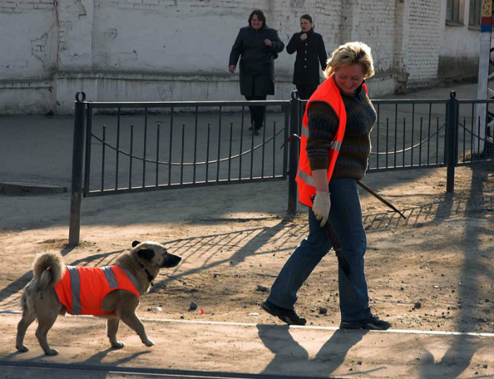 А что, никто не хочет работать у нас! | Фото: Kaifolog.ru.