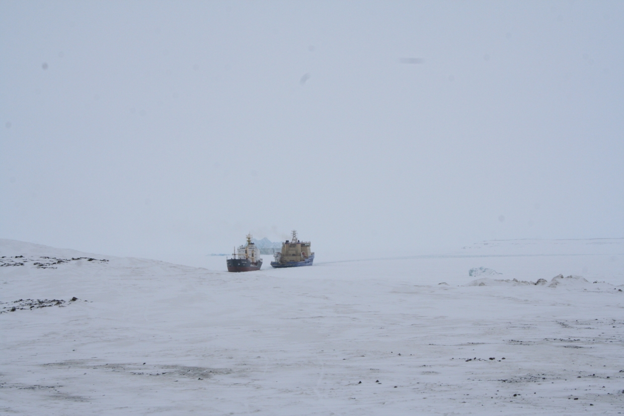 Хотят прийти на готовенькое: Вассерман объяснил мотивы США в борьбе за Арктику