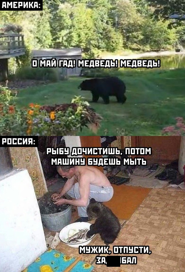 Подборка прикольных картинок Подборка прикольных картинок приколы,смешные картинки,юмор