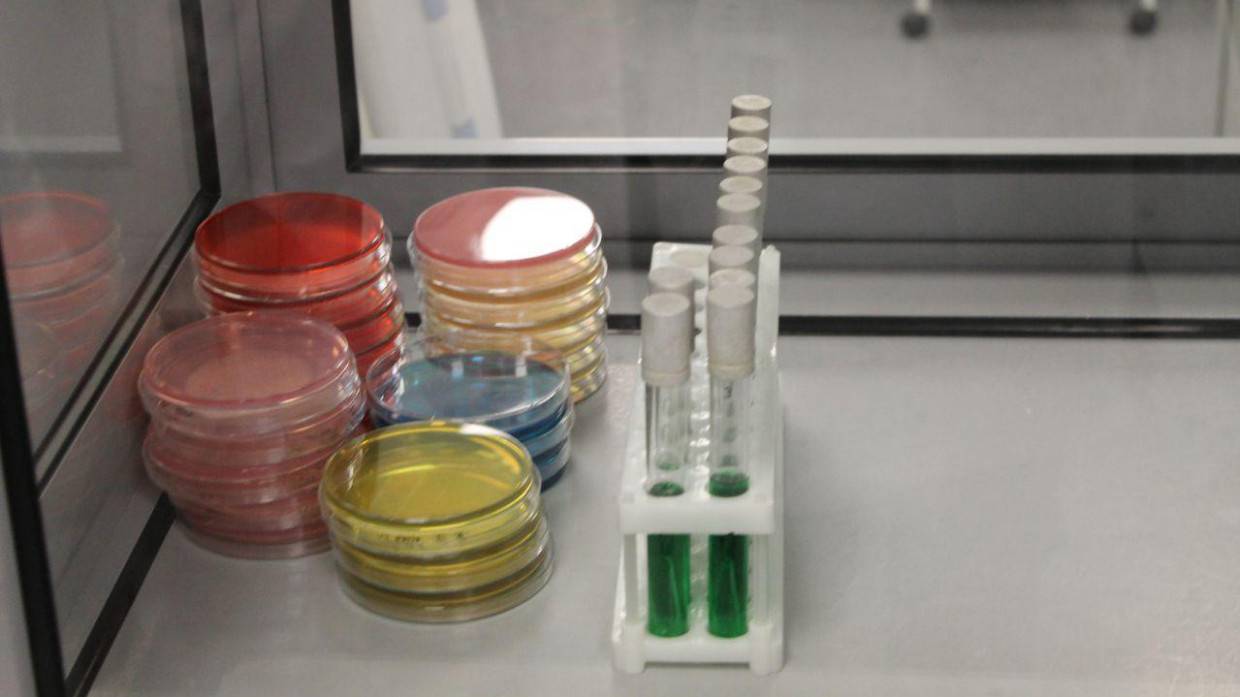 Регулятор CDC проводит расследование после обнаружения пробирок с оспой в лаборатории США