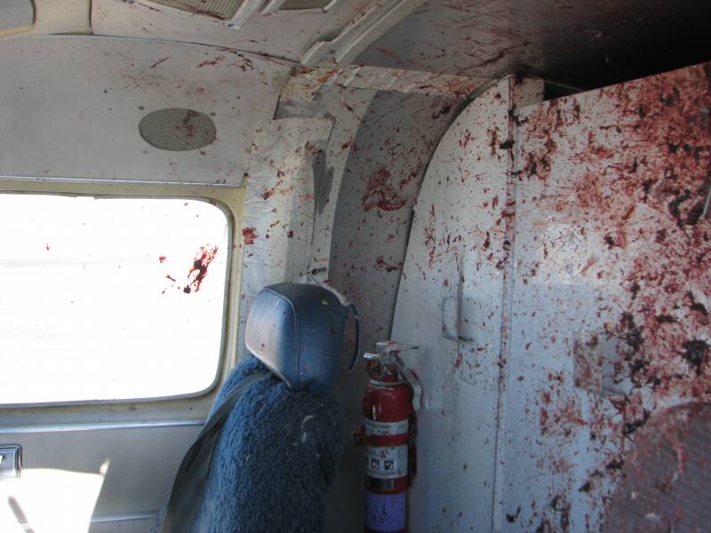 Самолет vs птицы – фатальное противостояние ввс