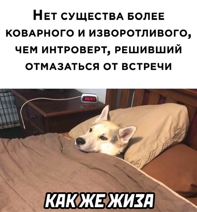 Подборка прикольных картинок Подборка прикольных картинок приколы,смешные картинки,юмор