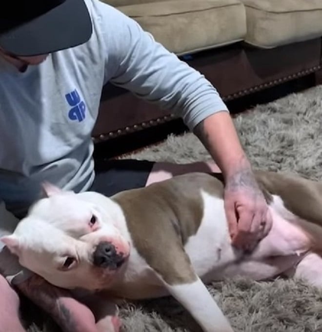 Мужчина и собака