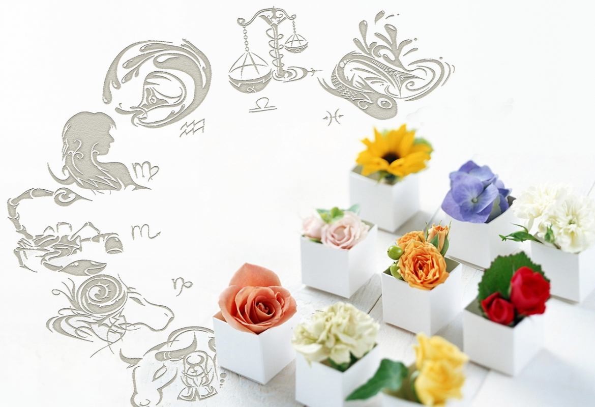 Какие комнатные растения соответствуют вашему знаку Зодиака