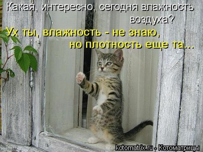 Мысли вслух :)