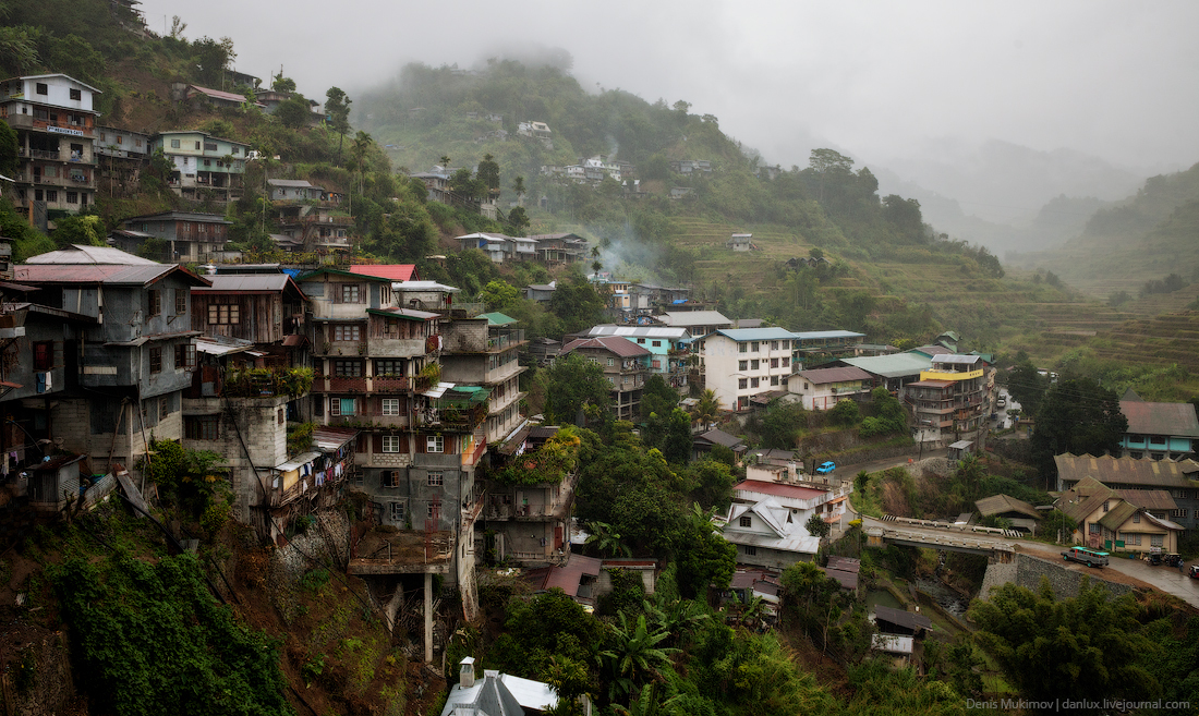 Как на Филиппинах выращивают сыр познавательно