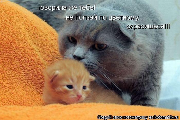 Мысли вслух :)