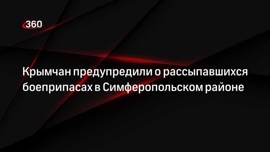 Аксенов предупредил крымчан о рассыпавшихся суббоеприпасах у села Донское