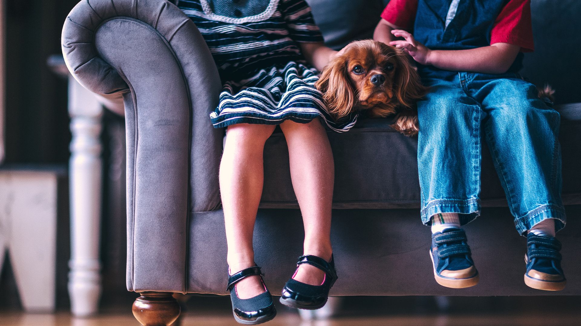 Участники форума «Здоровье и безопасность детей» обсудят гумпомощь семьям Донбасса