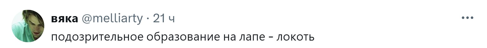 «Новообразование оказалось пупком»: 15 забавных причин, зачем питомцев возили к ветеринару правда, нужно, чтобы, кошки, совершенно, случае, возили, животных, животное, может, можно, своих, просто, узнать, ветеринару, внимание, Другое, Иногда, хозяин, начнёт