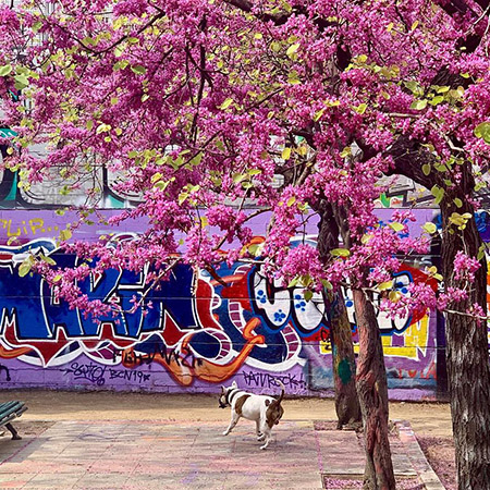 Вдова Владислава Листьева Альбина Назимова о его смерти, новой жизни и не только — самые яркие цитаты Вдова Владислава Листьева Альбина Назимова о его смерти, новой жизни и не только — самые яркие цитаты загадочность,знаменитости,интересное,очарование,фотографии