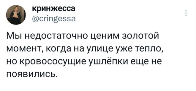 Комментарии, которые добавляют острый соус в ленту постов Комментарии, которые добавляют острый соус в ленту постов